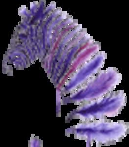 Meet your Posher, Bianca